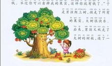 科学故事读后感