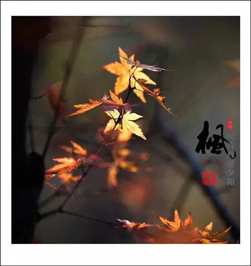 珍惜朋友