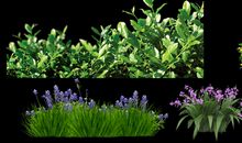 我要让草丛开满花