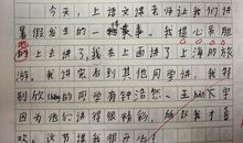 在上网课的日子里作文800字