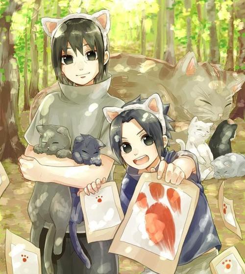 如果没有战争