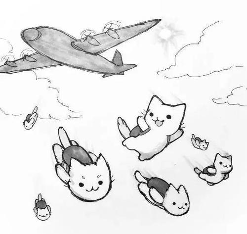 猫逃生