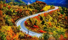 另一个世外桃源