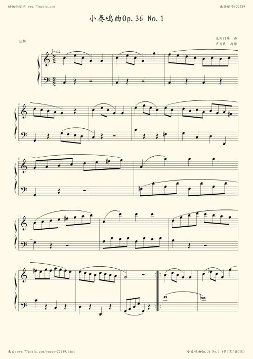 夏季奏鸣曲