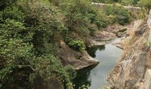 未来的森林公园