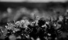 青春里没有报怨