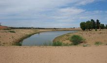 乘“舟”过沙漠