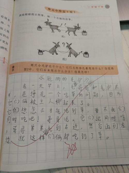 繁荣的西沙群岛