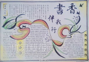 代码在心