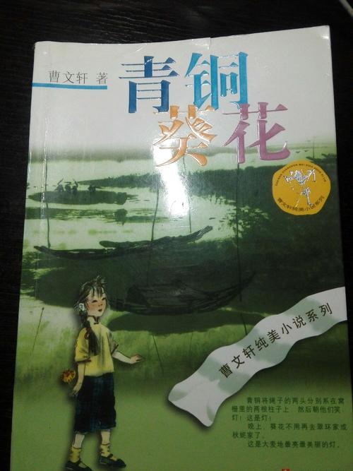 阅读《青铜向日葵》后，面对苦难的想法