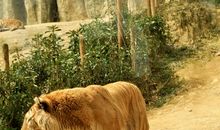 游富阳野生动物园