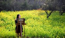 忠仑公园四季美