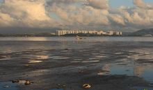 美丽深圳我的家