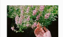 手机给人们带来的危害