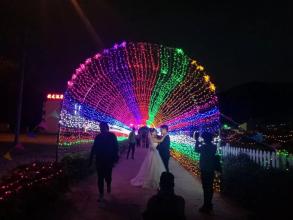 难忘的灯会