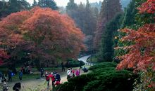 新时代景美人更美