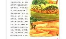 《狼犬罗依》读后感