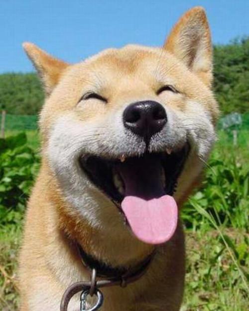 太兴奋了