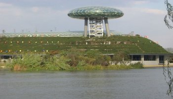 骑到西溪湿地博物馆