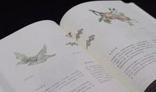 读《山海经》有感