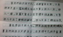 平淡中也有诗作文