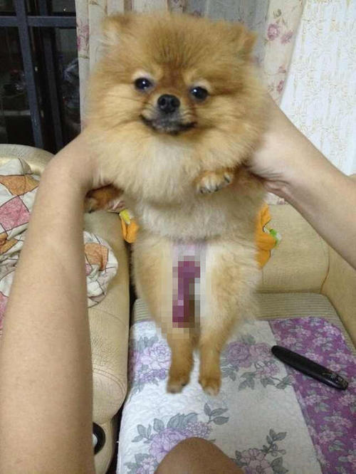 我从未如此陶醉