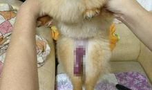 我从未如此陶醉