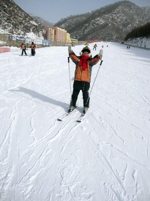 关于阅读《滑雪胜地的雪橇犬》的思考