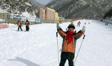 读《滑雪场的雪撬犬》有感