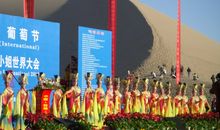 我想设立个葡萄节