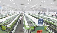 在逆境中寻一线生机