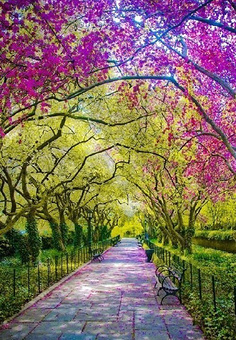 我发现了四个季节的美丽