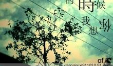 值得我怀念的那个人