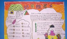 我的暑期读书感受