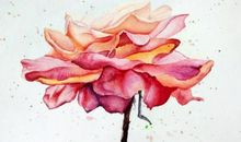 把花种在自己心里作文800字