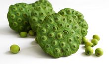 买莲蓬，品莲子