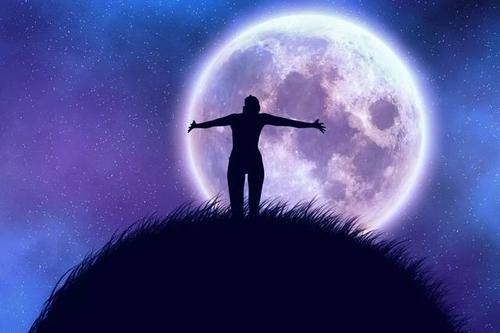 她并不像她想的那样孤独