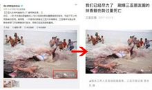 咬人的“鲨鱼”