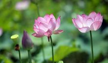 这个要命的夏天