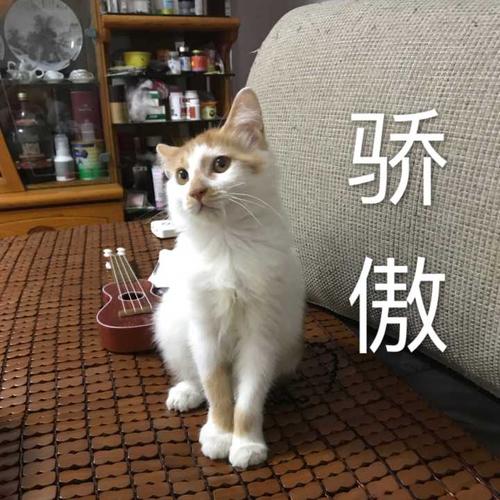 我想养一只狗