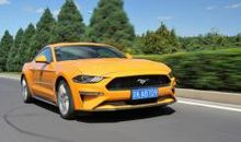 承担是交友神器