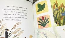 白鸭阿呷读后感