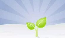 就这样埋下一颗种子作文