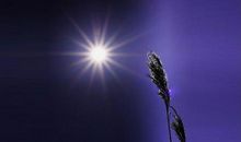 妈妈帮我走出困境