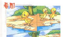 二年级看图写话小熊找朋友