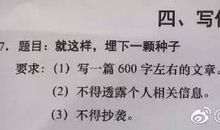 就这样埋下一颗种子作文800字