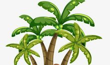 复椰子树的自述