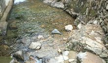 奶奶家门前的小溪