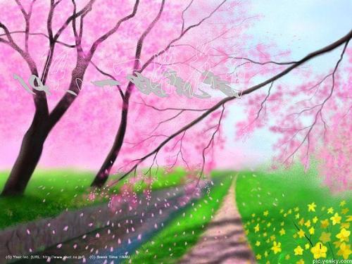 一路成长，一路成长