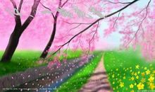 一路成长，一路花香